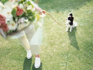 株式会社クリーンネットワークカンパニー